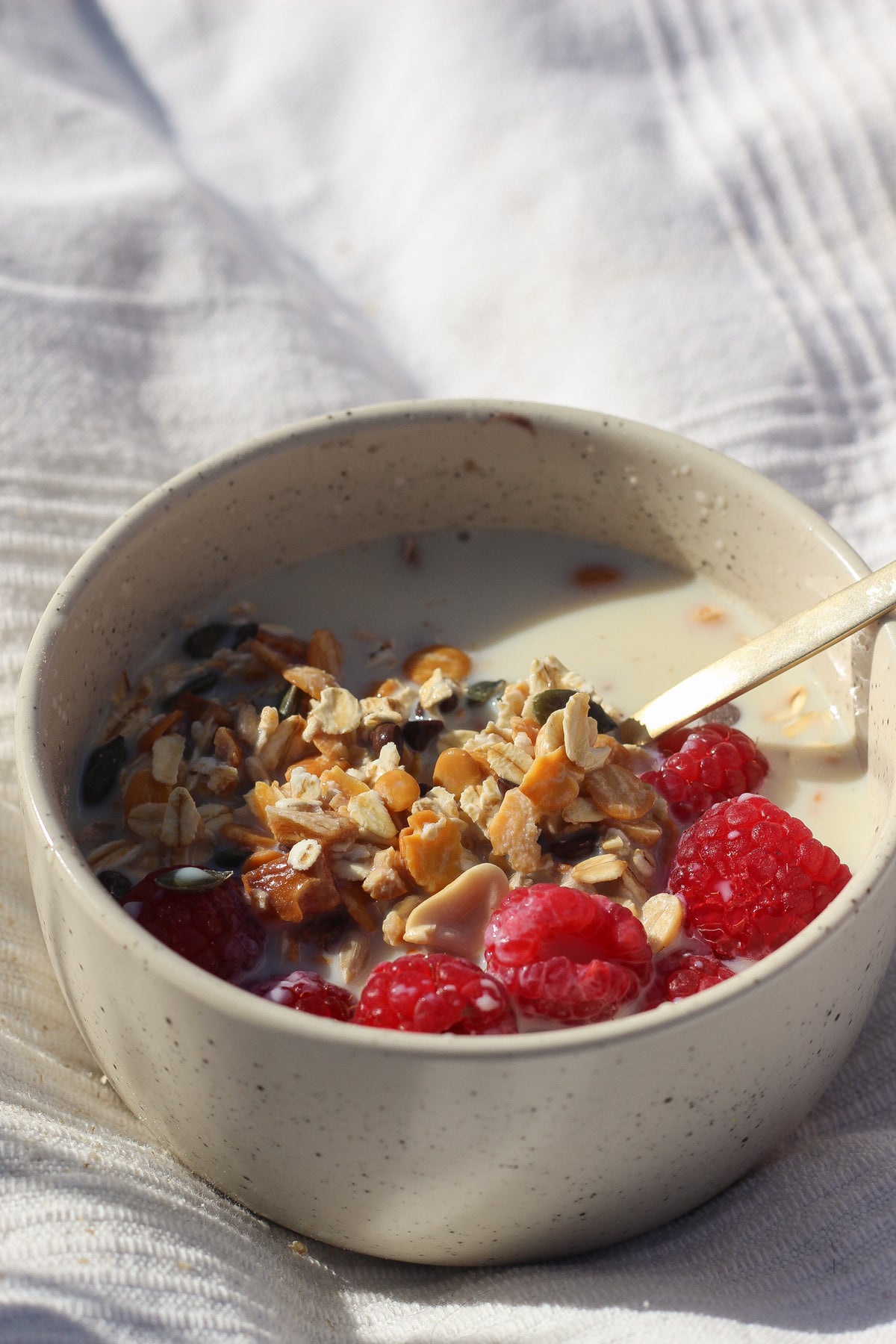 Gros plan sur un bol d'overnight porridge avec des fruits rouges pour le petit-déjeuner