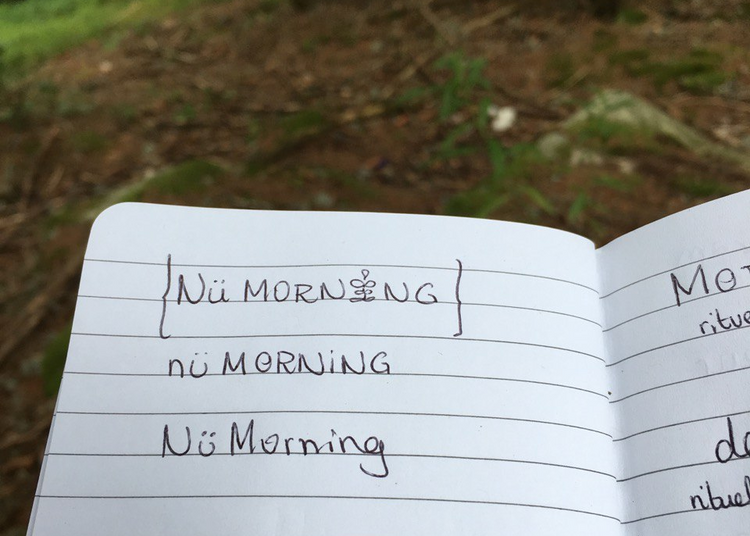 Esquisses manuscrites du nom nümorning dans un carnet en pleine nature