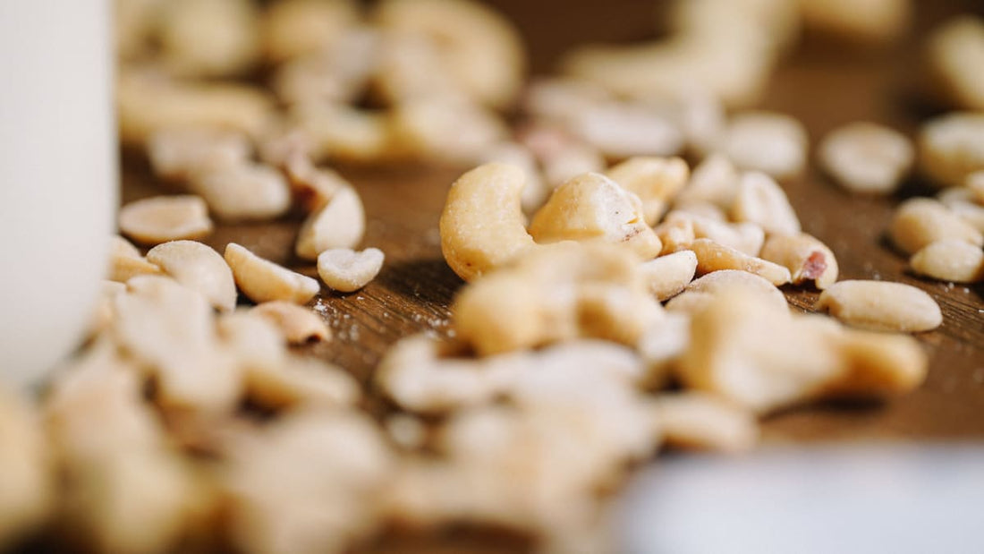Quel est le meilleur lait végétal ? Guide complet pour bien choisir