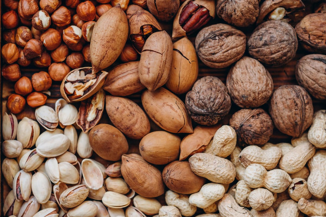 Gros plan sur des oléagineux comme des noisettes, des noix, des cacahuètes et des pistaches