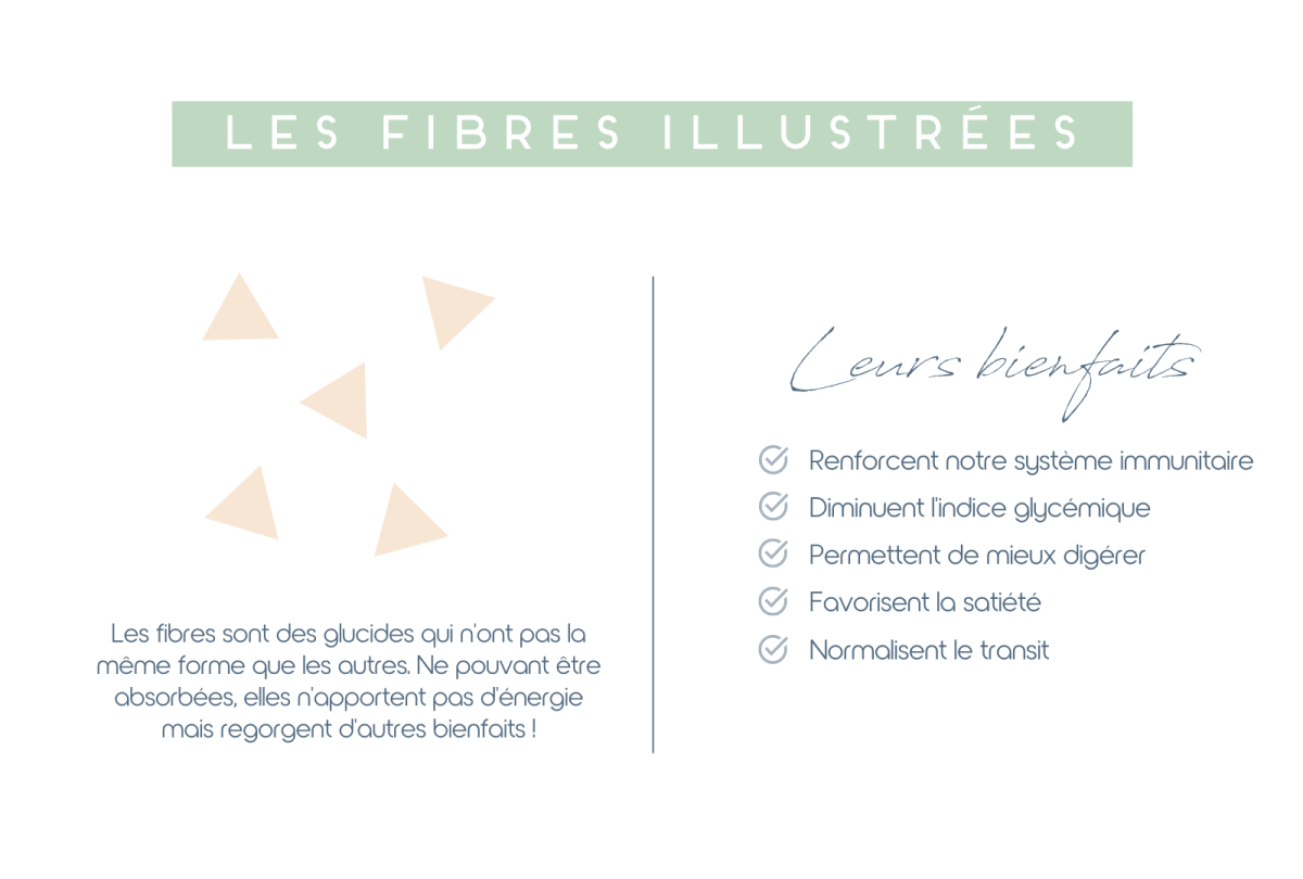 Schéma montrant les fibres, leur structures, leur bienfaits, leur role en tant que glucides