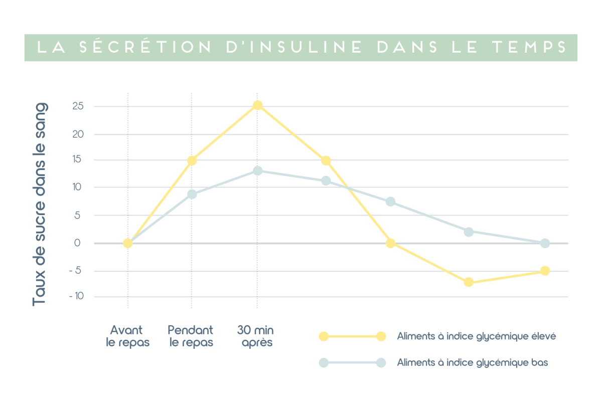 Schéma montrant la mécanique de l'insuline