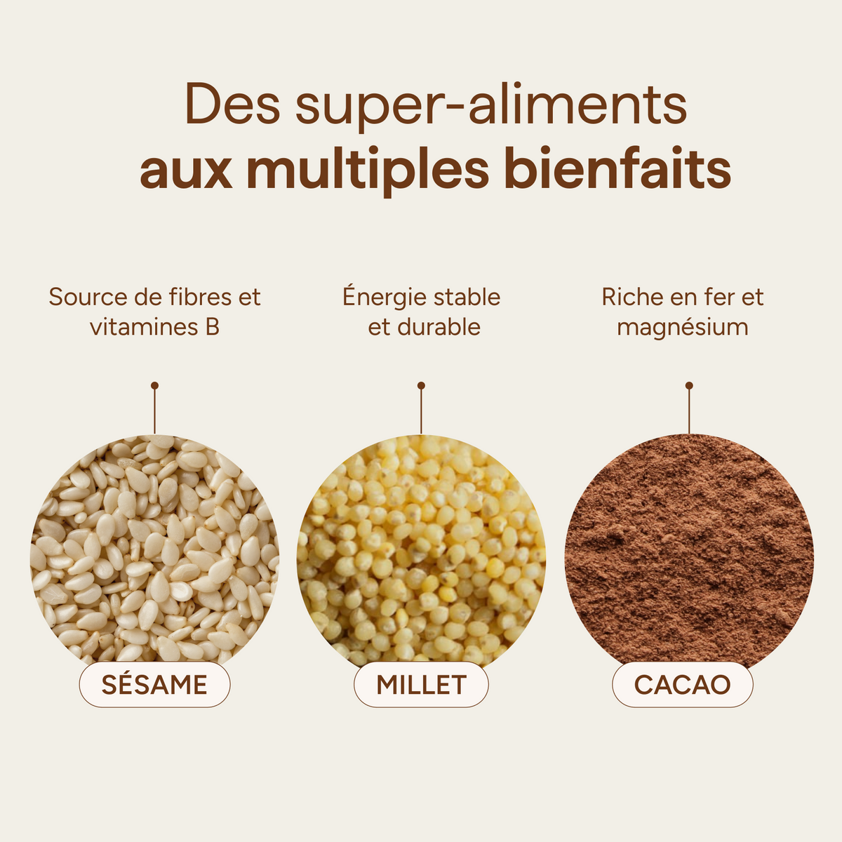 Ingrédients du granola chocolat et leurs qualités : sésame, millet et cacao