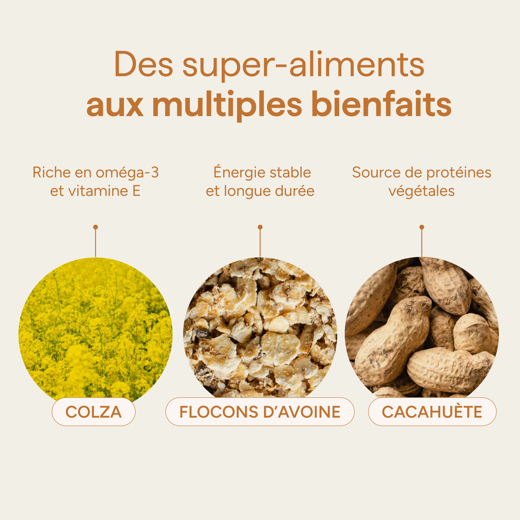 Super Nutty