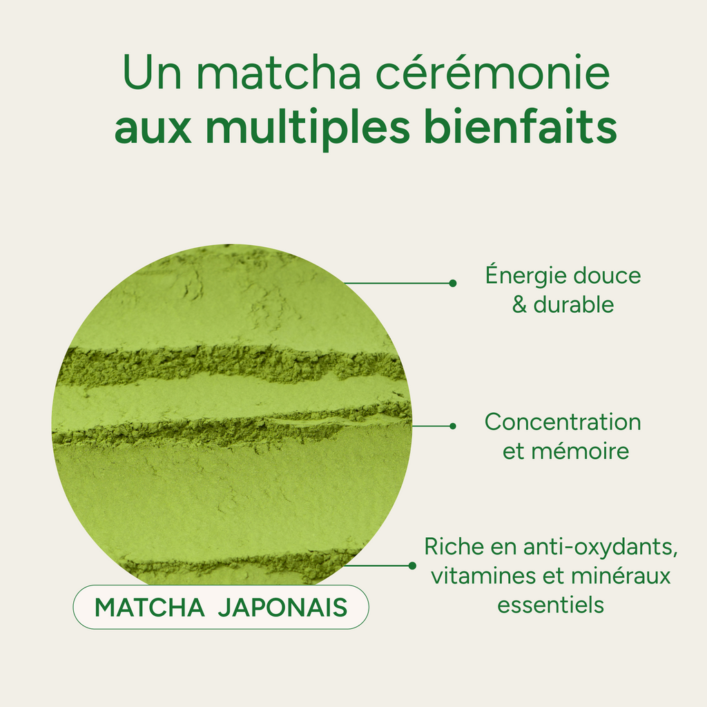 Matcha cérémonie japonais : énergie durable, concentration, mémoire et anti-oxydants
