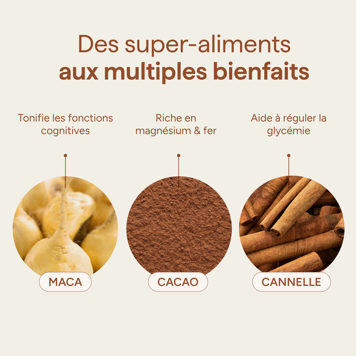Ingrédients du macaccino et leurs qualités : maca, cacao et cannelle