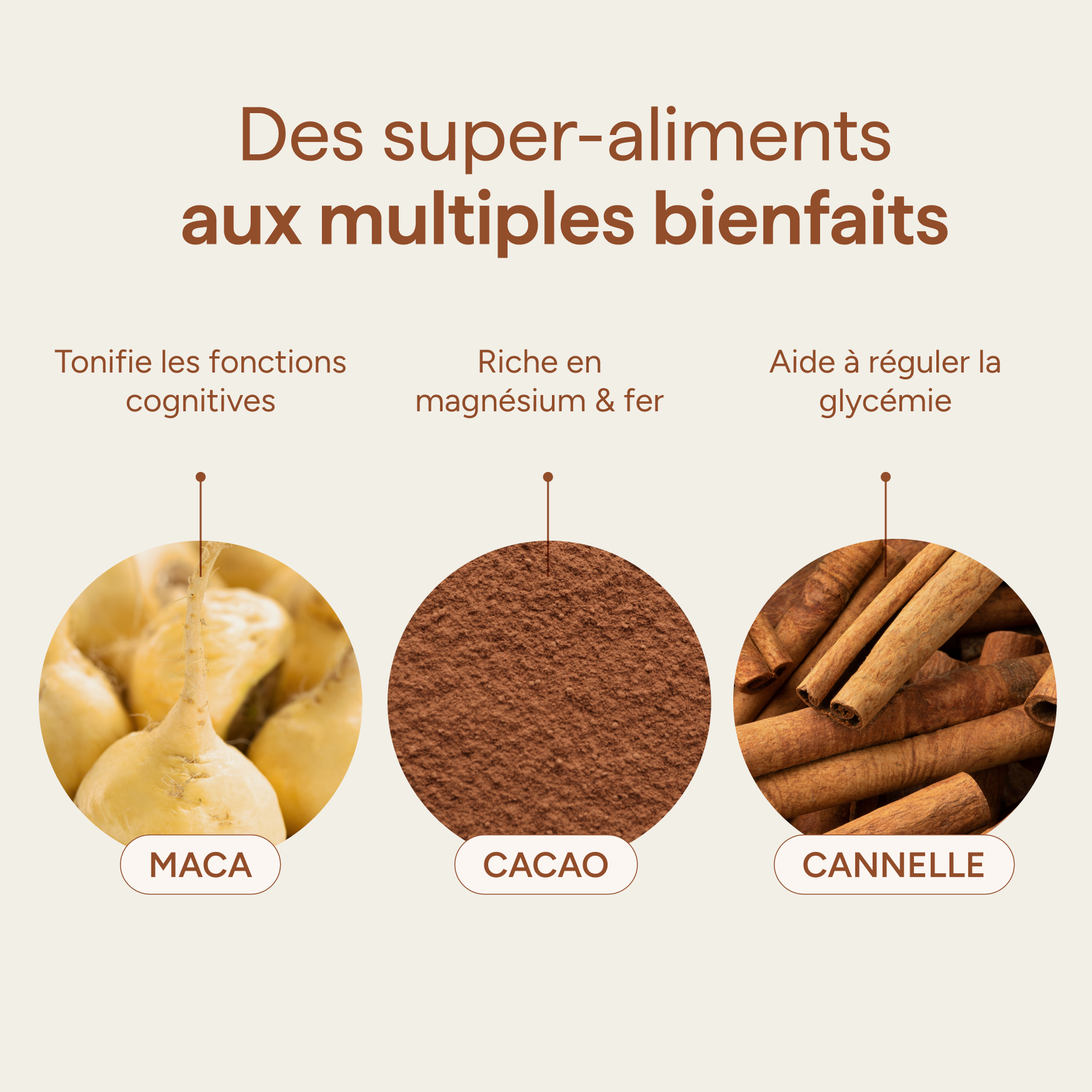 Ingrédients du macaccino et leurs qualités : maca, cacao et cannelle