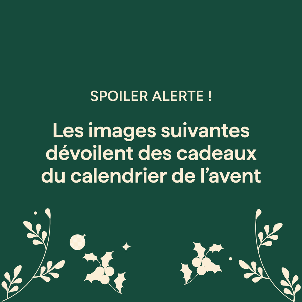 Calendrier de l'Avent - 24 matins, 24 surprises