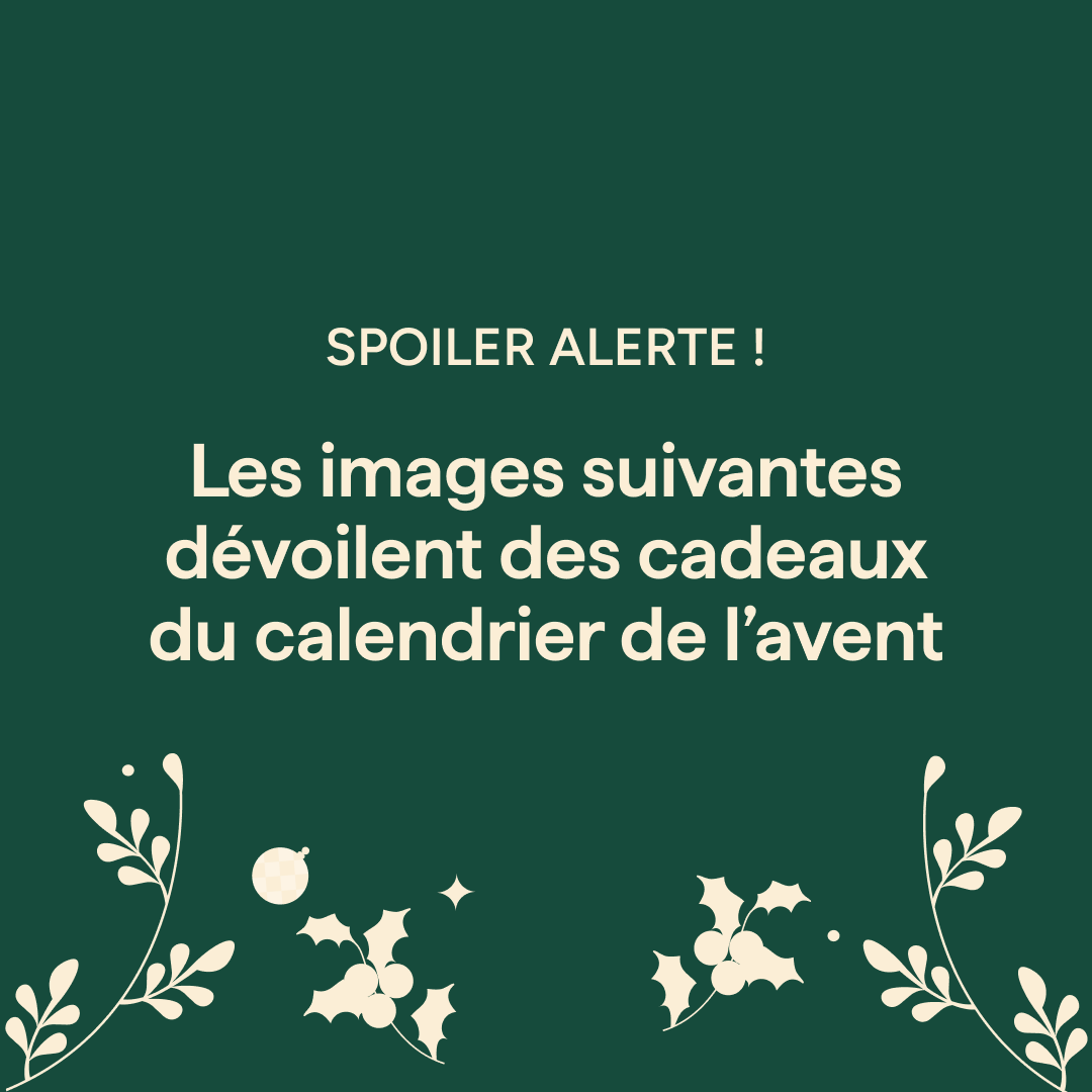 Calendrier de l'Avent - 24 matins, 24 surprises