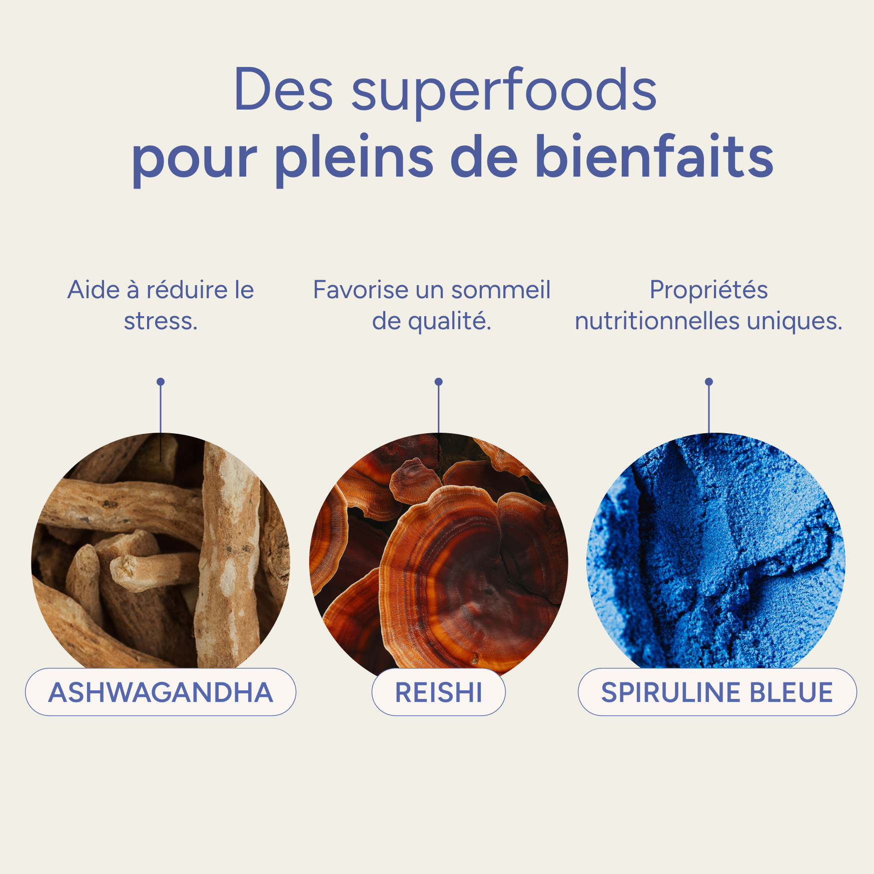 Visuel des ingrédients principaux du blue latte et de leurs bienfaits, à partir du moon milk nümorning