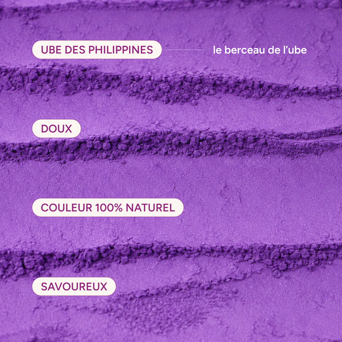 Ube des Philippines, berceau de l'ube : doux, savoureux, couleur 100% naturelle