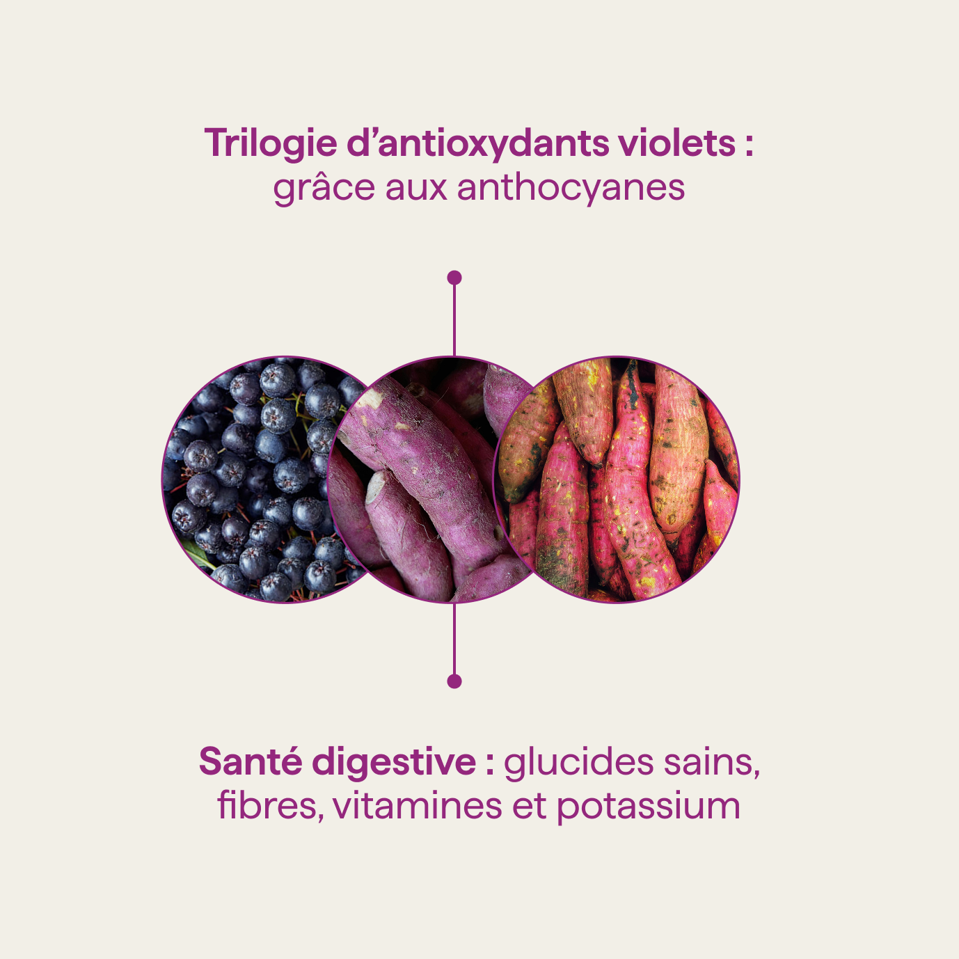 Ube Latte : LA révolution ube en poudre pour la maison – nümorning